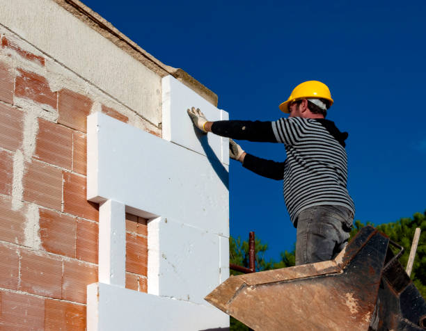 Best Eco-Friendly Insulation in Mount Vernon, MD