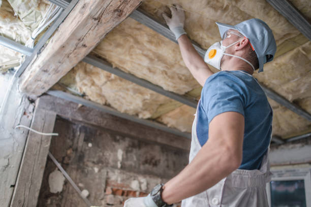 Best Spray Foam Insulation in Mount Vernon, MD